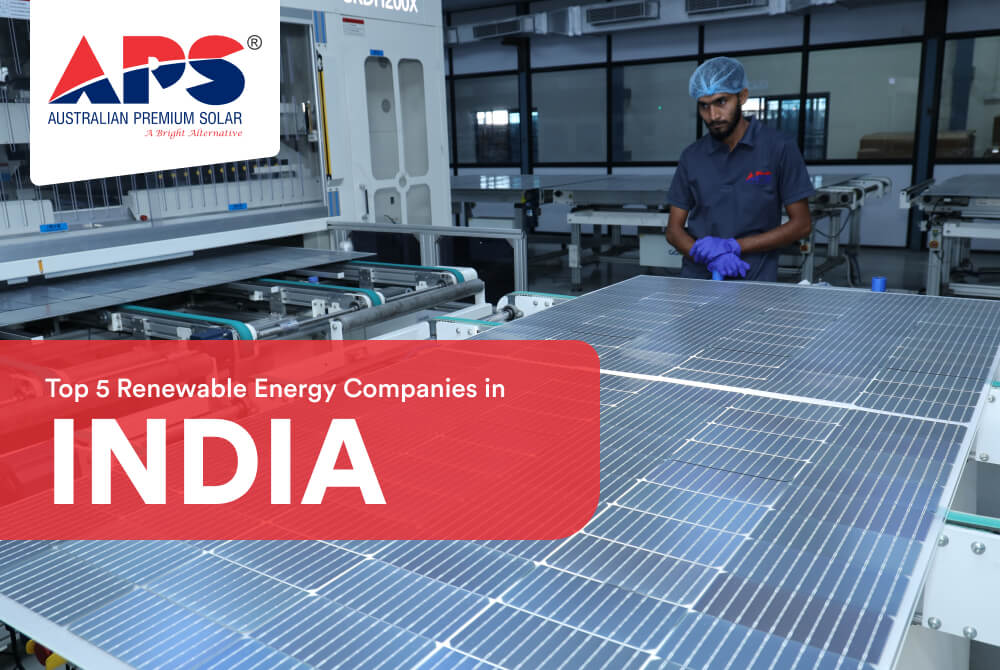 Top 5 Renewable Energy Companies in India