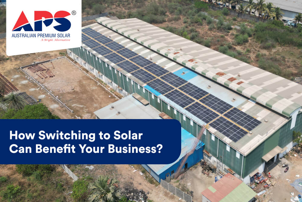 Switching to Solar Can Benefit Your Business